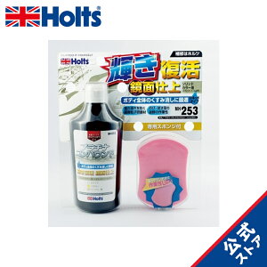 zc Cpi RpEh bNXint̃RpEh v`iLbhRpEh \bhJ[p Holts MH253