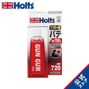 ホルツ 補修用パテ マフラー用 ガンガム チューブタイプ 耐熱700℃ 150g Holts MH720