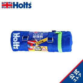 ホルツ パンク修理剤 タイヤウェルド 中~大型バイク用 Holts MH724