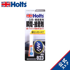 zc Cpi uԐڒ {hCbgQ ʁEʗp Holts MH823