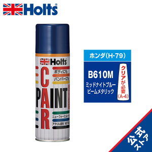 �z���c MH14079 �z���_�ԗp B610M �����h���X�v���[ �J�[�y�C���g 300ml Holts