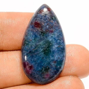 �V�R�΁@���[�X�@���r�[�C���E�J�C���i�C�g