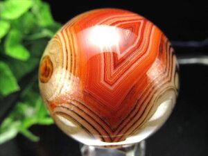 VR΁@XtBA@T[hIjLXiԎjۋʒu