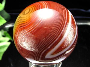 VR΁@XtBA@T[hIjLXiԎjۋʒu