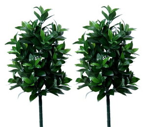 ̎Ԃ2{50cmSGISOKAwَdl^h~p肨Q炵уVLr