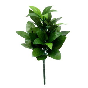 ̎YiQ肵݃VLr瑢1{29cm