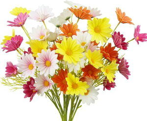 DIFEIUKIf[W[10{Zbg5։/{e͂ȂԃJtt̉Ԗ{ԂQ肨ԑ̓MtgCeAʐ^tFCNt[52cc