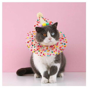 LaObY2ZbgL֔LaXq킢ybgpiHAPPYBIRTHDAYX^CLp߉\ʐ^BeLOp[eB[pi