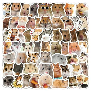 nX^[V[60AqNlAꗎhrj[V[obOrAm[gp\RAM^[XP[g{[hAוAgѓdb(nX^[C)