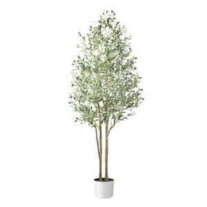 Alupssuc�ϗt�A���y����180cm�z�t�F�C�N�O���[����^���G�}�C���e���A�Ƃ̒��ɒu���l�H�ϗt�A��������ꐢ�b���Ȃ������s�v�̃z�[�����փL�b�`���I�t�B�X�I���[�u�t�F�C�N�O���[�����c