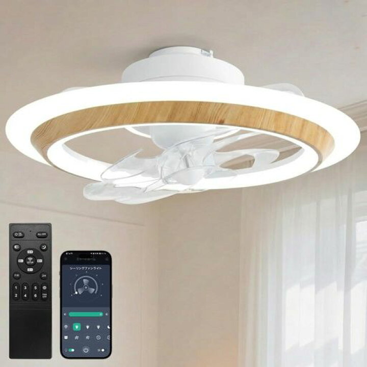 楽天市場】SUKITEN シーリングファンライト LED 導光板 正逆回転 首 
