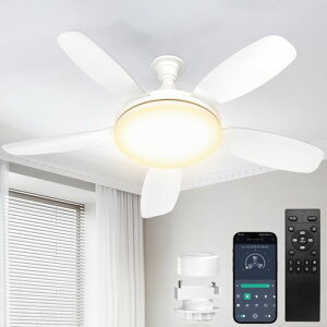 SUKITEN�V�[�����O�t�@�����C�g8-10��81cm�y2026�N�ŐV�i���E��^�E�啗�ʁE���t��]�zE26LED�t�@���t���Ɩ�5000lm44W���^�É��O��DC���[�^�[���ږ��i�K�������FAPP���䃊���R���t���^�C�}�[