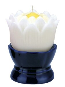 ̃}GX(Maruesu)@̉Ԃ낤V[YzCg