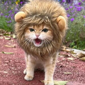 L蕨CILpEBbOybgpXqybgpEBbOLpXqRXvLbvϐgnEBNX}X߉\EȒP