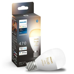 tBbvXq[(PhilipsHue)X}[gdE1740WzCgOf[V1-X}[gƖAlexaΉ470lmFdFFFX}[gz[ԐڏƖLEDX}[gCg