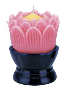 ̃}GX(Maruesu)@̉Ԃ낤V[YsN