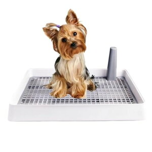 ItisyougCgCg[pgCybggCg[gCgCpXebvg[gCg[͂ݏoh~