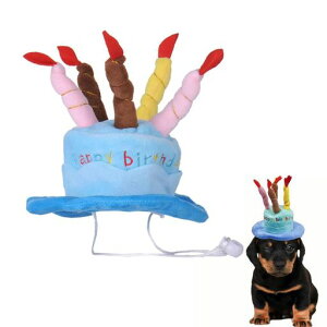 DONGFANGBybgpo[Xf[nbgP[L^Xq^^ΉLpʐ^Bepap[eB[LOv[gɍœK(u[)