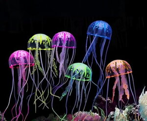 siawadeky�l�H�N���Q�u��6�_�Z�b�g���F���킢�������I�[�i�����g���V�����A�N�A���E���C���e���A�����ُ���N���Q������i�����V���R������������J���[�N���Q�����ّ����p�A�N�Z�T���c