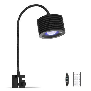 LominieANAECgƖLEDCTSLEDCg\^pCXpCgNbv