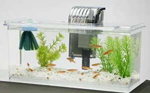 Tetraeg_J̔ɐByރZbgLANAEMы_J