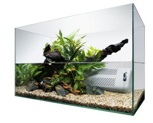 eg(Tetra)KXegTCgtbNXZbg60ANAEMы_J̑