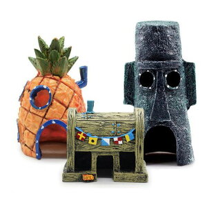 DFsuccesANAEpCibvnEXCJh̉Ƒ3_ZbgpANZT[̂DIY͋CSϋv