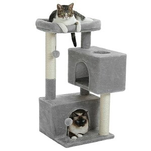PAWZRoadLbg^[Ⴂ߃~jX^LpL^[܌RpNg܂Ƃ|[LnEX2uVjALVLqLo₷VRTCUtLxbhc