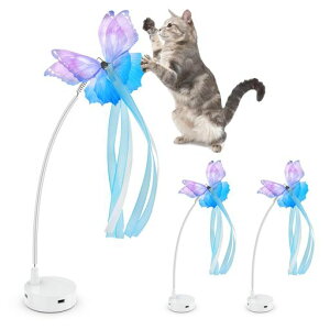 ORSDAL̂\ȒANZT[A3SȎt@ubNp[tFNg...