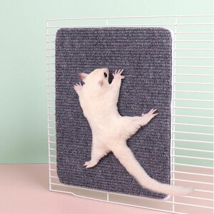 IYOIYAK܌XebvP[Wtܐ؂肨tNKVѓQ[WNC~O}bglCPA܂ƂЂh~V[g^s(1pcs)