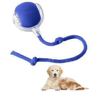 LᎩL{[USB[dt360x]LEDLVѓXgX^s(u[)