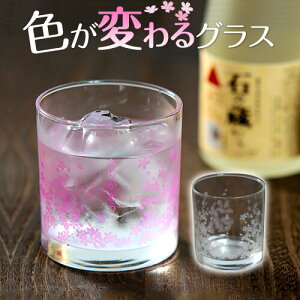 ₷ FςOX 肪Ƃ bNOX  / Mtg Ή {V ĒOX a / {V ʔ