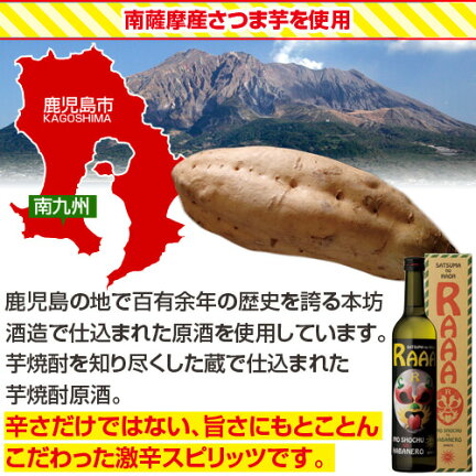 珍しいお酒ハバネロスピリッツ薩摩の覇王RAAA34度500ml化粧箱入り