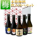 梅酒 セット 酒のプロ厳選 [本格×本格] 梅酒 飲み比べ セット 300ml 5本 化粧箱入り [本坊酒造 梅酒/お酒 プレゼント/お中元 ギフト 梅酒 飲み... ランキングお取り寄せ