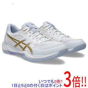 ył2{I15.0̂A183{Izasics AVbNX 28.0cm o[{[V[Y GEL-ROCKET 12 1073A080 zCg/Vp