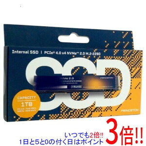PRINCETON �����^SSD PHD-ISM2G4DG-1T 1TB