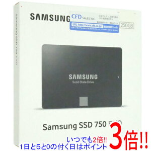 ył2{I15.0̂A183{IzSAMSUNG 2.5C` SSD 750 EVO MZ-750250B/CS 250GB