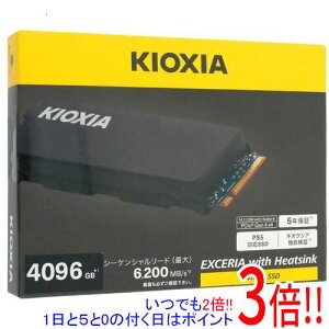 �y���ł�2�{�I1����5.0�̂����A18����3�{�I�z�L�I�N�V�A EXCERIA with Heatsink SSD-CK4.0N4HS �u���b�N 4TB