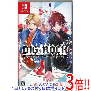 DIG-ROCK - Documentary of Youthful Sounds - �\����T�t�� Nintendo Switch