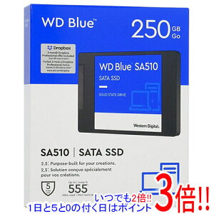 �y���ł�2�{�I1����5.0�̂����A18����3�{�I�zWestern Digital�� SSD WD Blue SA510 SATA WDS250G3B0A 250GB