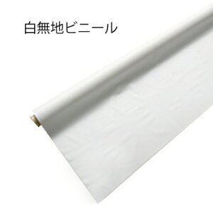 nrj[V[g L ƖpTCYy180cm×30mz