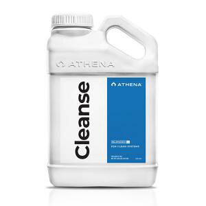 ATHENA Aei NY Cleanse