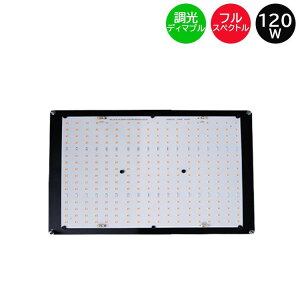  FLX 120 QB LEDA琬 120W