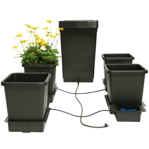  I[g|bg 4Zbg Auto pot-4pots