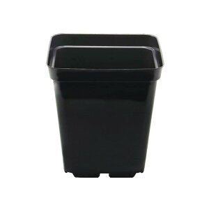 XNGA ||bg Square polypot