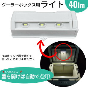 N[}bNX N[[{bNXpCgiLEDCg/40lmj Cg 炢 led AEghA _ d Lv R[hX Ɠ ZT[ ÃZT[ O d  dr dr h