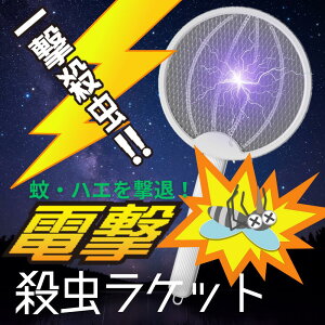 dEPbg dE ܂  uvCg ͓dCVbN USB[d y 3wSlbg Qގ nGގ ΍  ܕsv E oR Lv AEghA O Q