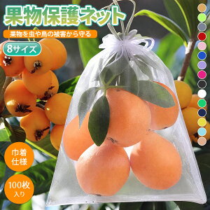 ʕ 100Zbg یlbg h h SS JԂg ʕیlbgʋCocO Ԃǂ 񂲑 Q΍ Jی _Ɨp |H | bV В ʎ h