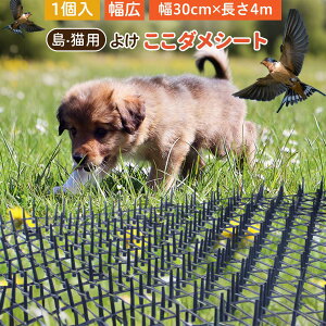 L悯V[g lR悯V[g L悯}bg LNh~ lR L΍ p ԗp Ԓd v^[ x_p 悯 Qb΍ 悯 l悯 ybgɗD Sݒu A\ _f