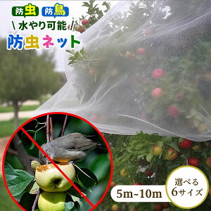 hlbgx|G` hlbg 40bV |lbg ƒ؉p lbg hlbg ϋv TCY\ _Ɨplbg lbg ʎ Ԓdp y hlbg 